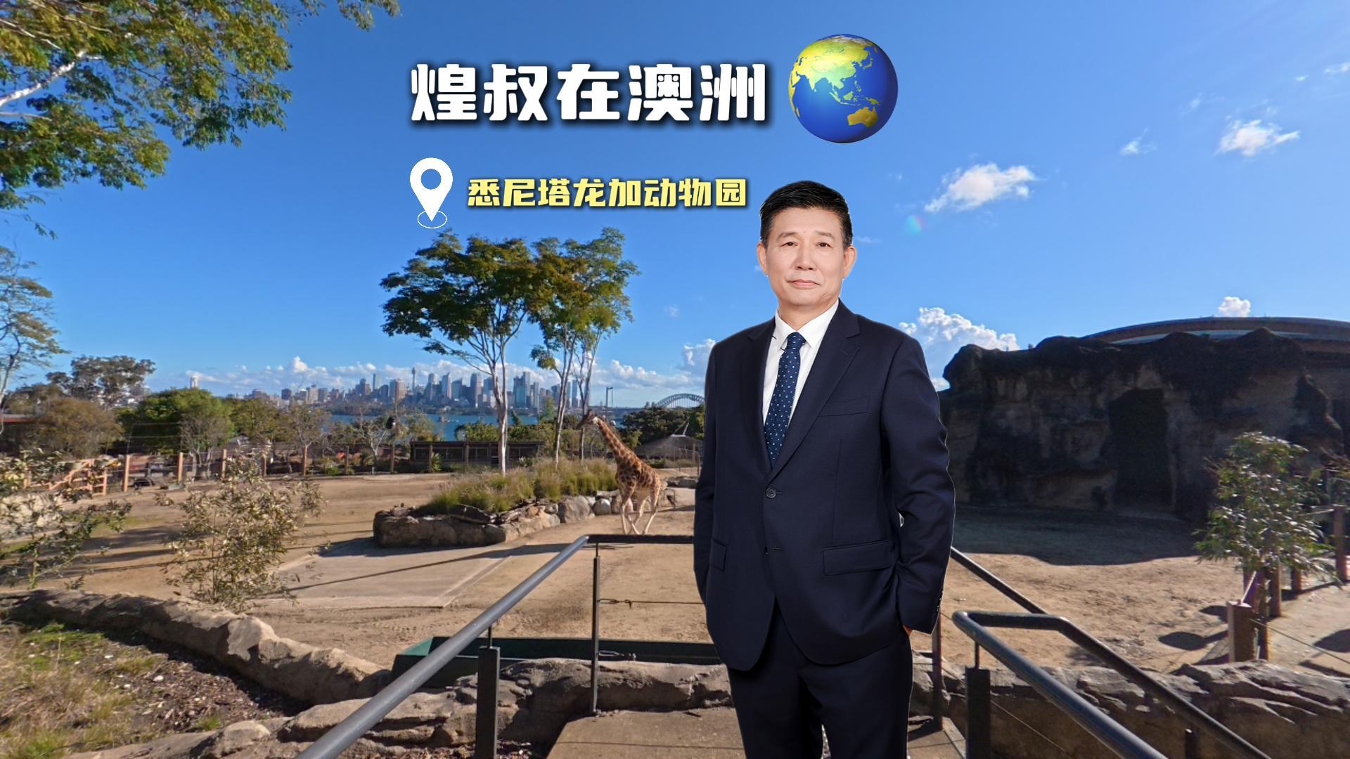 走訪悉尼塔龍加動物園，讀懂鄉(xiāng)墅建造的底層邏輯